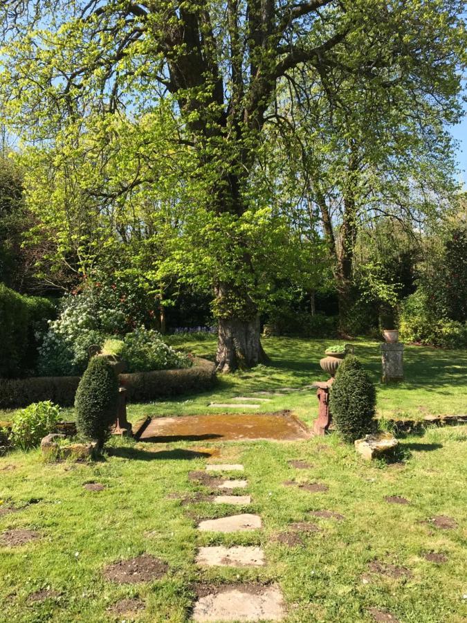 Le Petit Paradis Labastide-Rouairoux