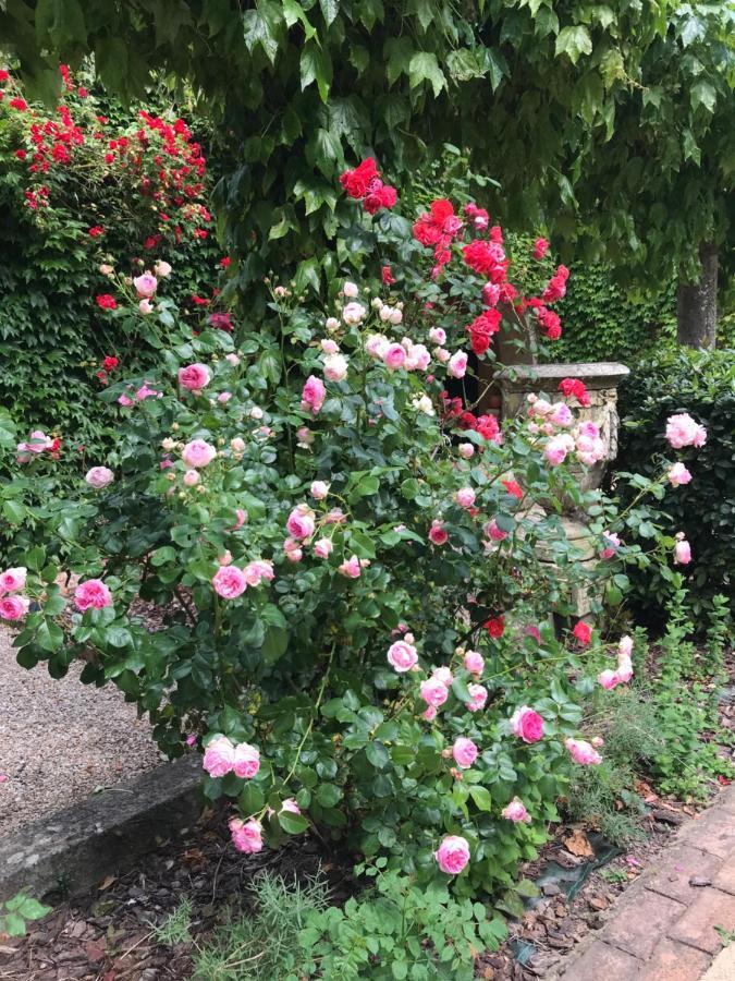 Bed & Breakfast Le Petit Paradis *